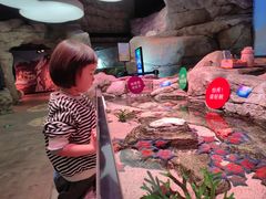 -沈阳海洋探索中心