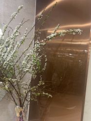 -深圳鹏爱秀琪医疗美容医院