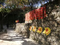 -塔川景区