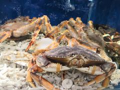 -蚝得喜海鲜(东城店)