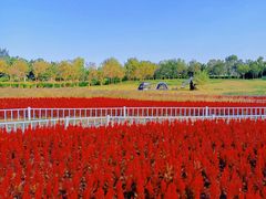 -烟台金沙滩海滨公园