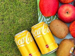 -洋湖国家湿地公园