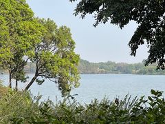 -海珠湖公园
