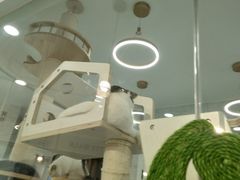 -喵园·猫主题咖啡厅·撸猫·猫咖(国贸店)