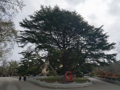-青岛德国总督楼旧址博物馆