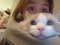 -猫大福·Fortune Cat猫舍(百子湾店)