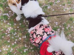 -龙美术馆(西岸馆)