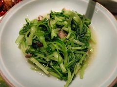 ws香菇鸡毛菜-辛香汇(宝乐汇店)