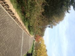 大望京公园儿童游乐场-大望京儿童游乐场