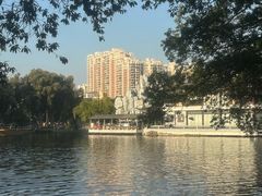 -荔湾湖公园