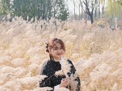 -济南国际园博园