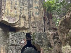 -铁山坪森林公园