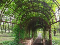 -国家植物园南园