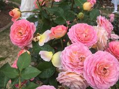 -人民公园(罗湖区)