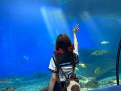 -福州罗源湾海洋世界旅游区