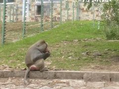 -哈尔滨北方森林动物园
