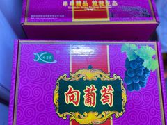 -向葡萄庄园