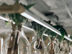 -% Arabica阿拉比卡咖啡(前滩太古里店)