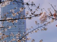 -静安雕塑公园