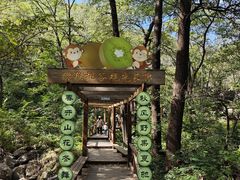 -大岭沟猕猴桃谷风景区