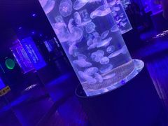 -南昌海洋公园