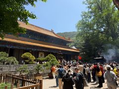 -普陀山风景名胜区-法雨禅寺