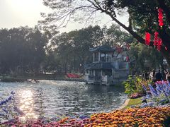 -荔湾湖公园