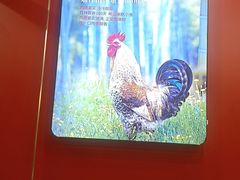 -鲁员外地锅鸡地锅鱼(古墩路店)