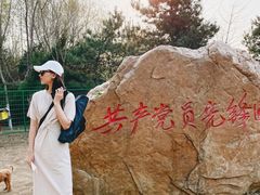 -长白岛森林公园