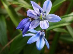 -国家植物园南园