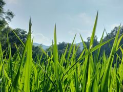 -世间香境·七溪地