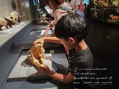 -四川大学博物馆