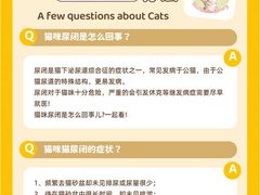 -lincat·猫舍(广州店)