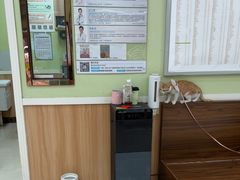 -瑞鹏宠物医院·夜间急症·心超·猫科(祖庙分店)