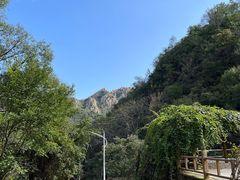 -大岭沟猕猴桃谷风景区