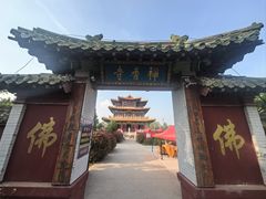 -曹州牡丹园