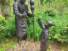 -合肥滨湖国家森林公园