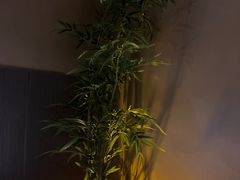 -宁采臣Sleep·采耳·SPA放松馆(湖里万达店)