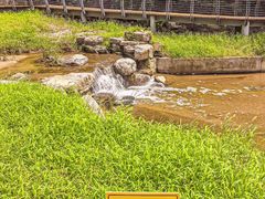 -白水寺森林公园