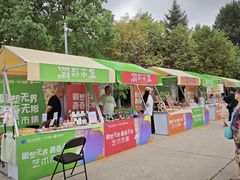 -长春世界雕塑园冰雪艺术天地