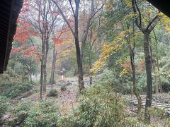 -仙霞关景区