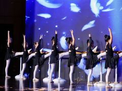 -红舞鞋舞蹈教育(近江校区)