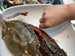 -半岛听涛蒸汽海鲜自助(K11店)
