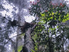 -贵州省植物园