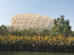 -吴淞炮台湾湿地森林公园烧烤区