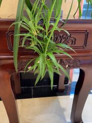 -北京俪婴妇产医院(朝阳大悦城店)