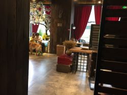 点击看大图 -侨治发型