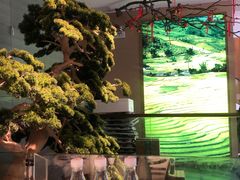 -虹泥小厨(南国花园总店)