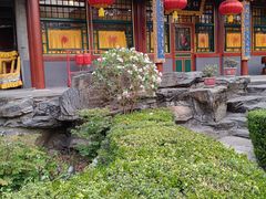 -白家大院·王府宫廷菜(苏州街店)