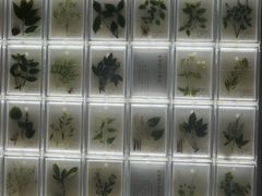 -广东中医药博物馆